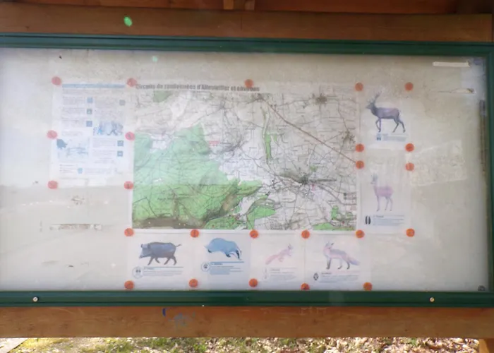 Le Mamama, Maison Cosy Au Centre Du Village Sommerau